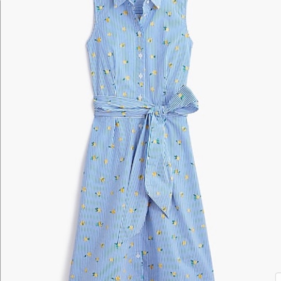 Lemon print dress from J.Crew - Picture 2 of 5